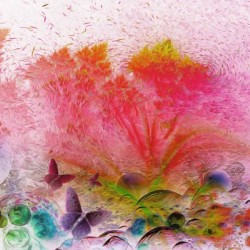 soft wind 6